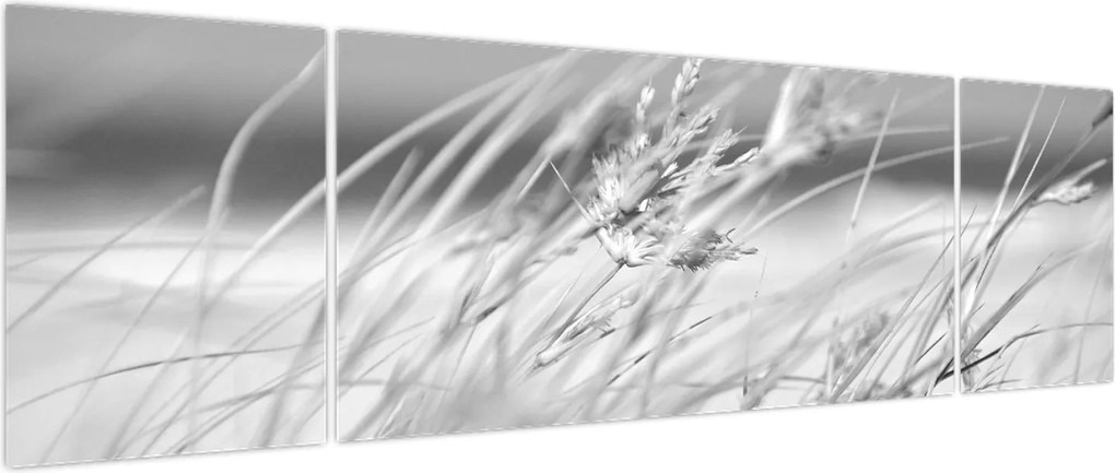 Obraz - Trawa plażowa (170x50 cm)
