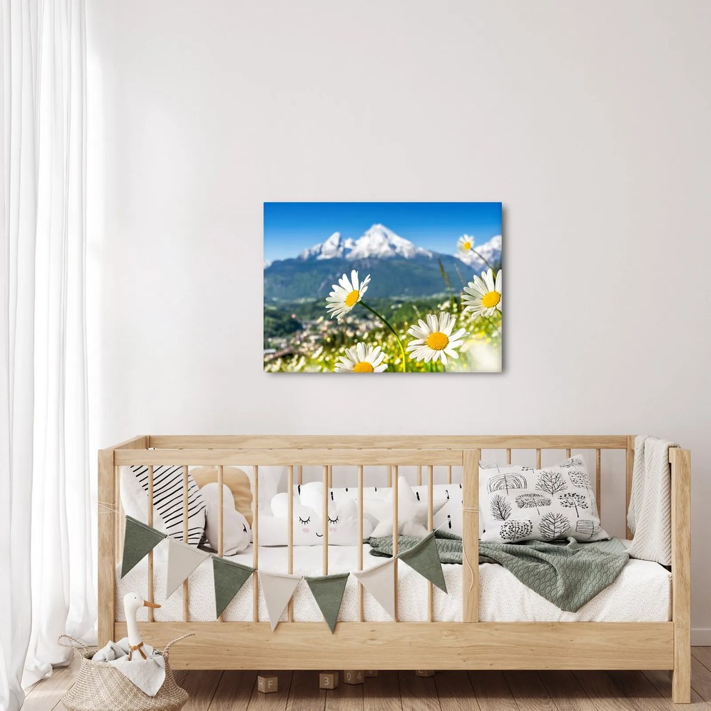 Obraz - Wiosna w Alpach (70x50 cm)