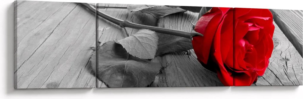 Obraz czerwonej róży (170x50 cm)