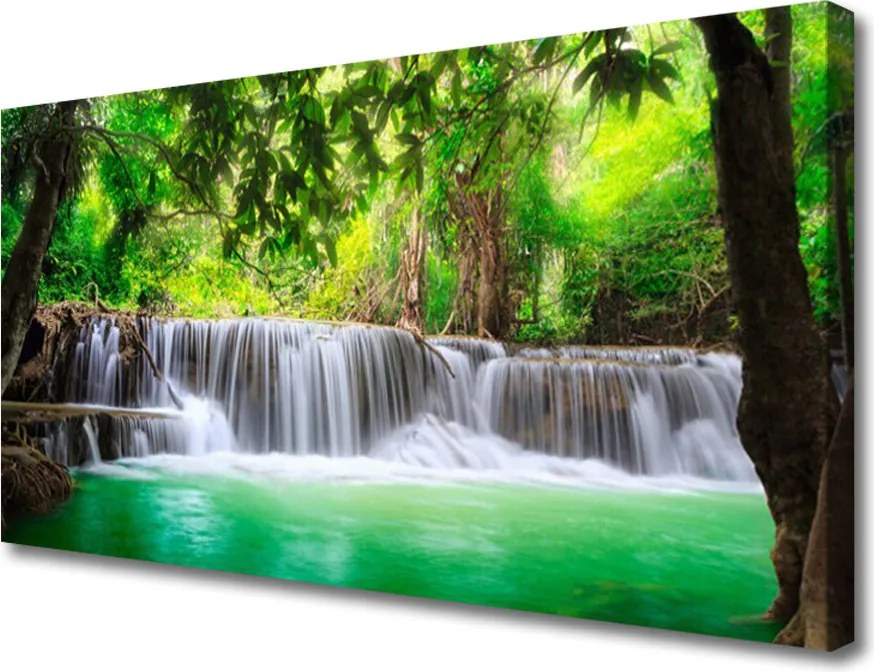 Obraz canvas Ukryty Wodospad w Gęstwinie