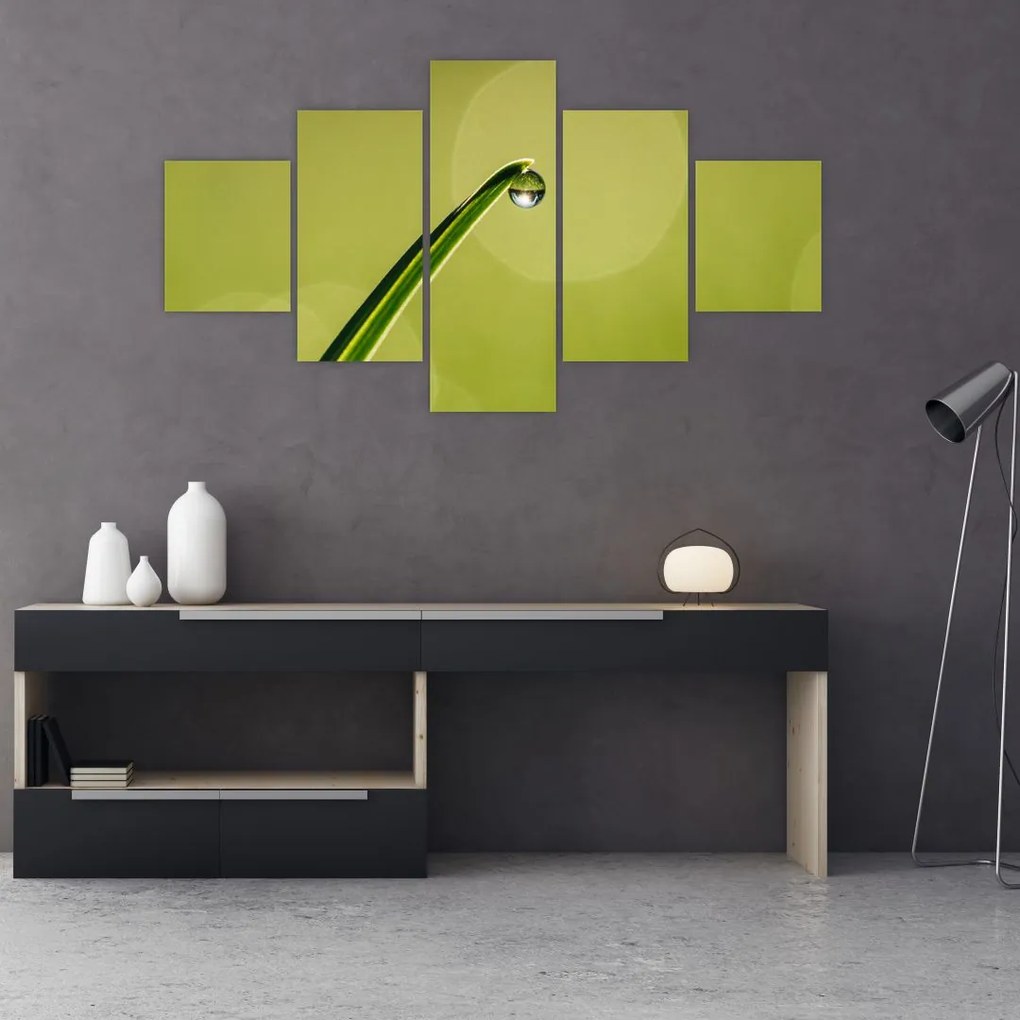 Obraz kropli wody na trawie (125x70 cm)