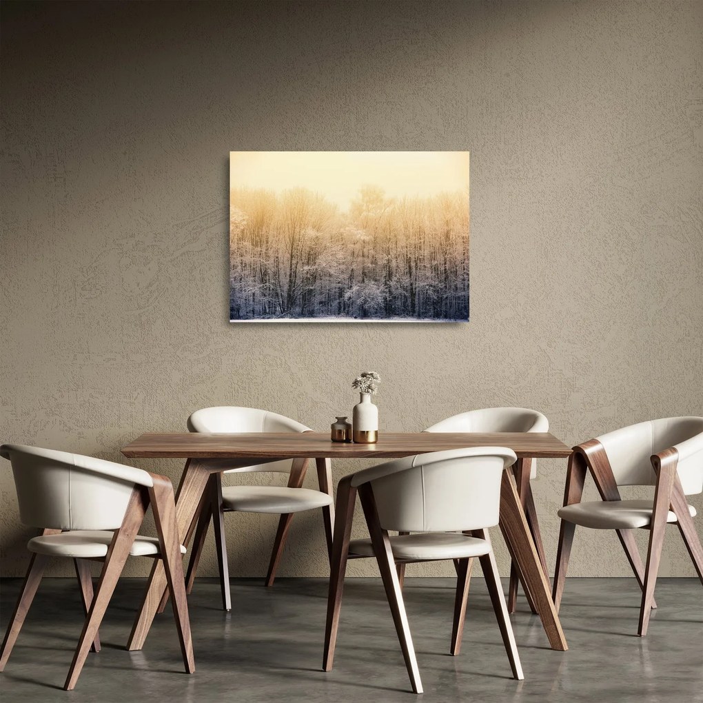 Obraz na szkle mroźnego lasu (70x50 cm)
