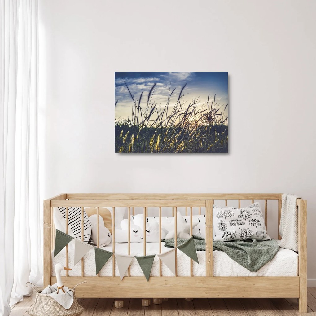 Obraz na szkle kwiatów łąkowych (70x50 cm)