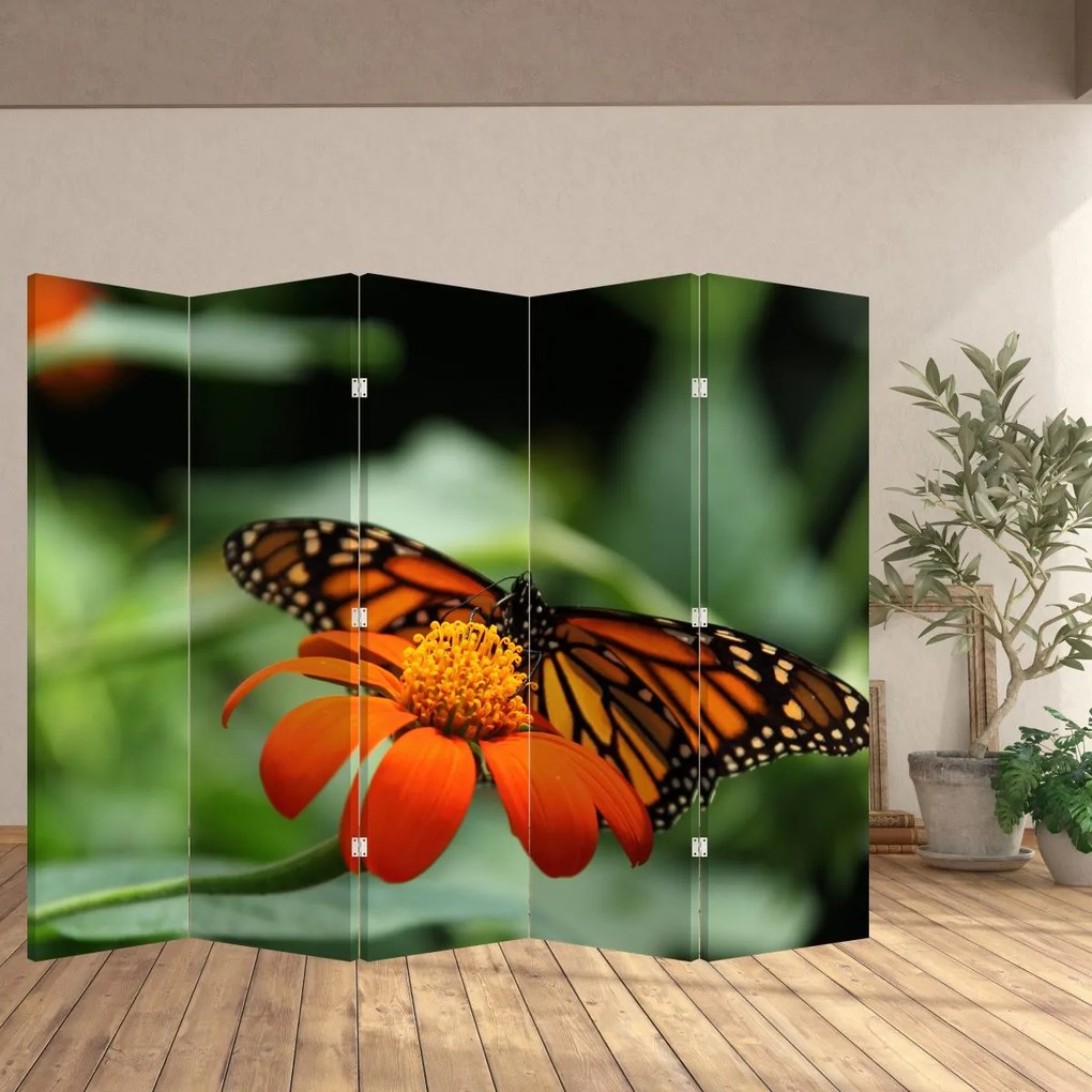 Parawan - Motyl na kwiatku (210x170 cm)