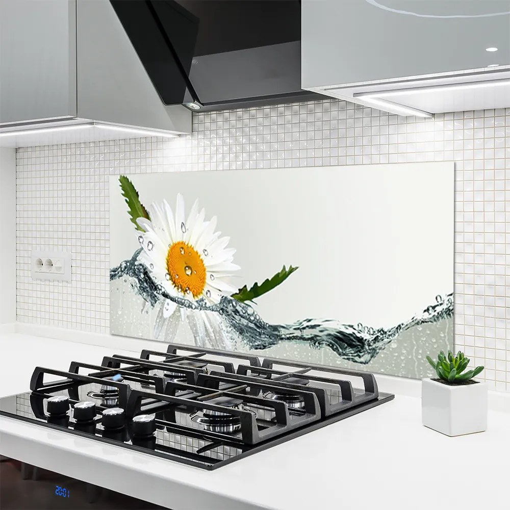 Panel Szklany Biała Stokrotka na Lustrze Wody