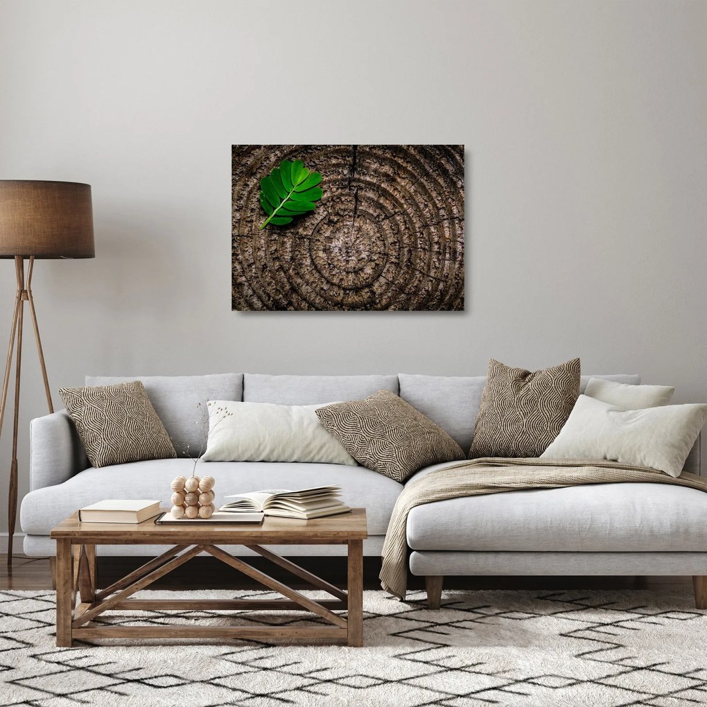 Obraz na szkle - liść na pniu drzewa (70x50 cm)