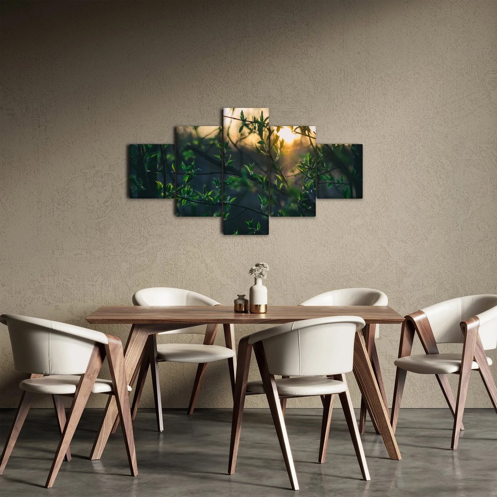 Obraz słońca przeświecającego przez gałęzie drzew (125x70 cm)