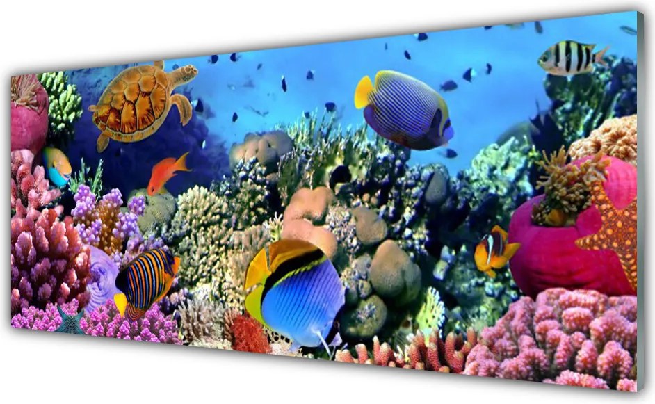 Panel Kuchenny Bogactwo Oceanicznej Rafy