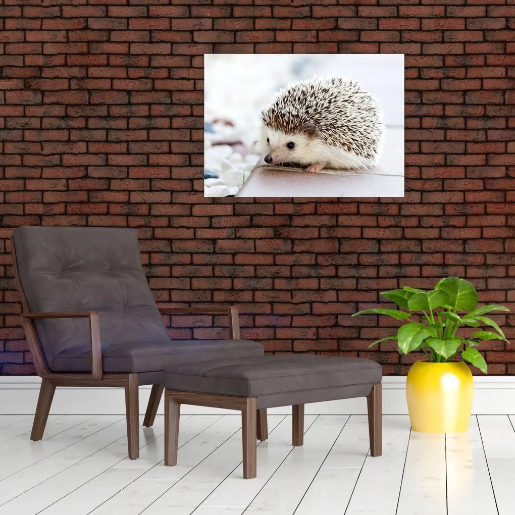 Obraz na szkle - jeż (70x50 cm)