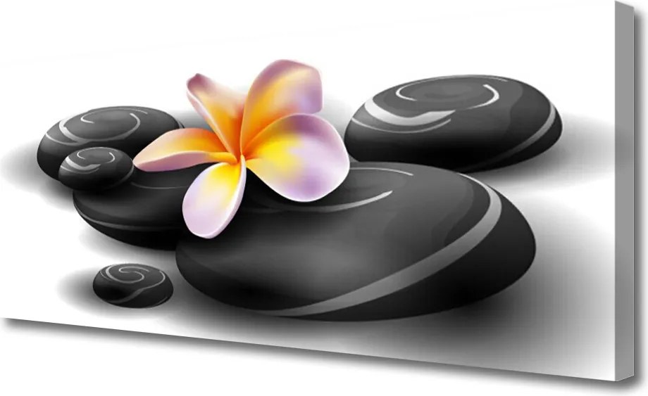 Obraz na płótnie Kwiaty i Kamienie Zen