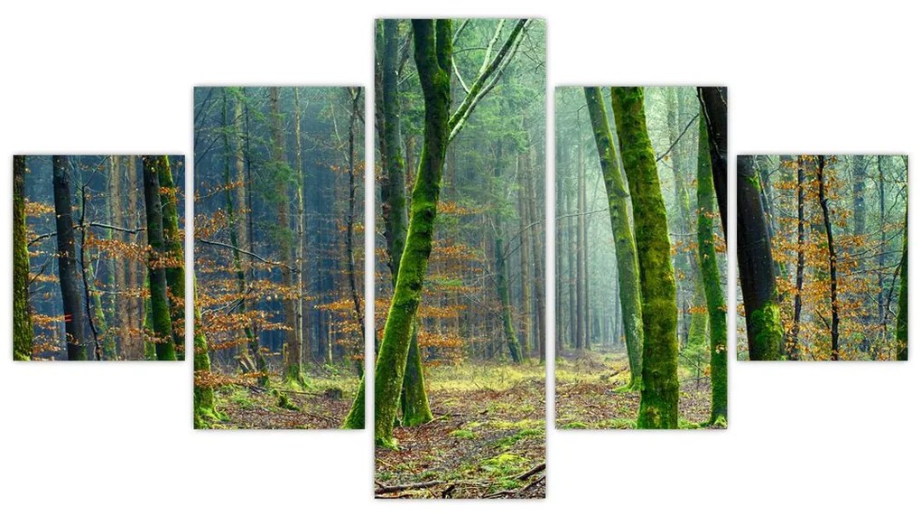 Obraz lasu (125x70 cm)