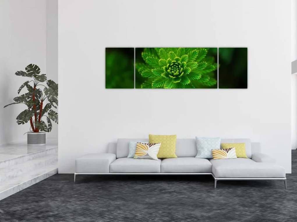 Obraz drzewa iglastego (170x50 cm)