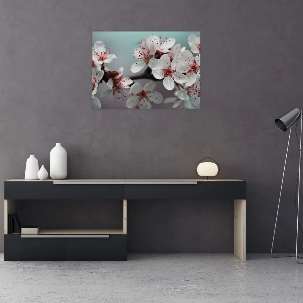 Obraz na szkle - kwiat - czerwony (70x50 cm)
