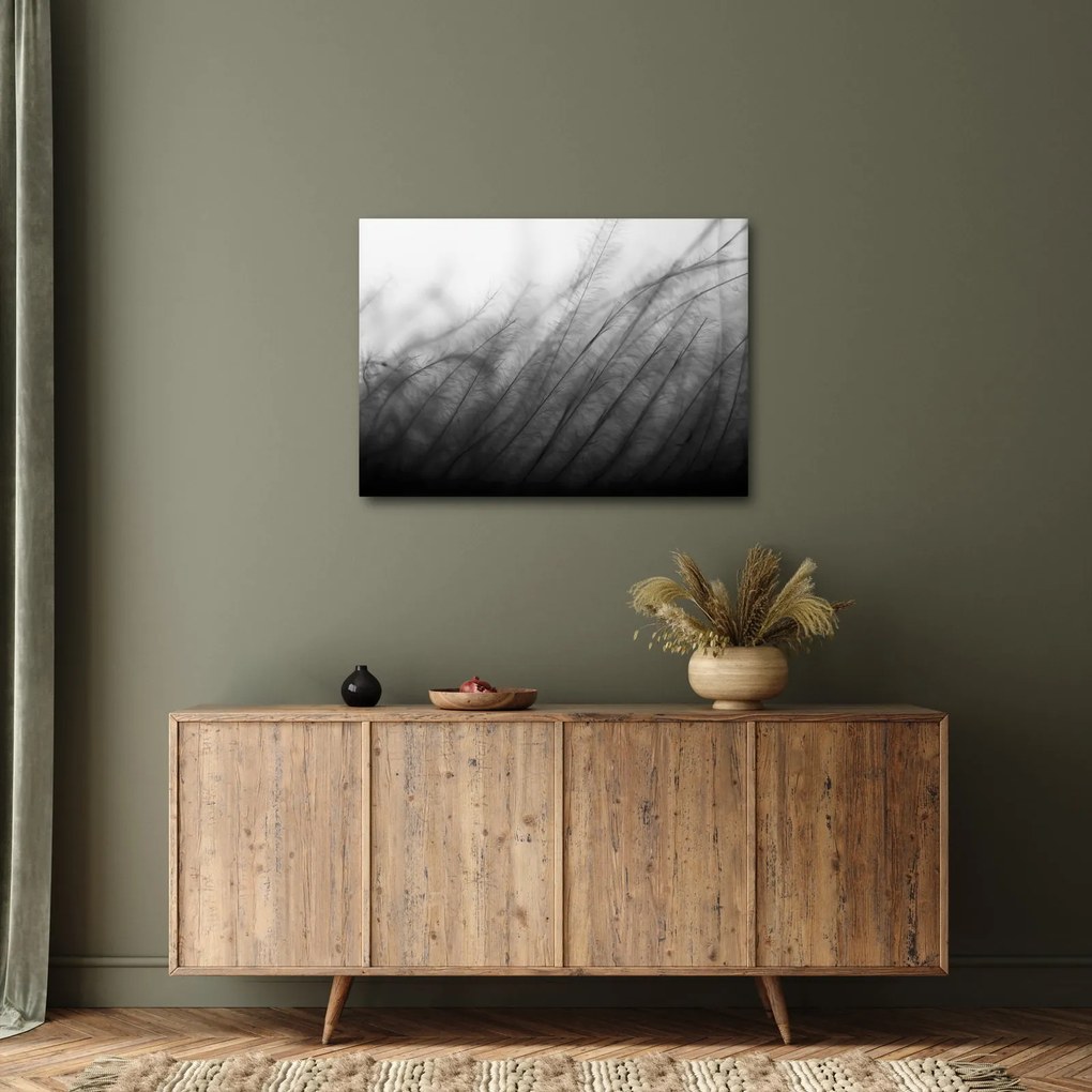 Obraz - Trawa na wietrze (70x50 cm)
