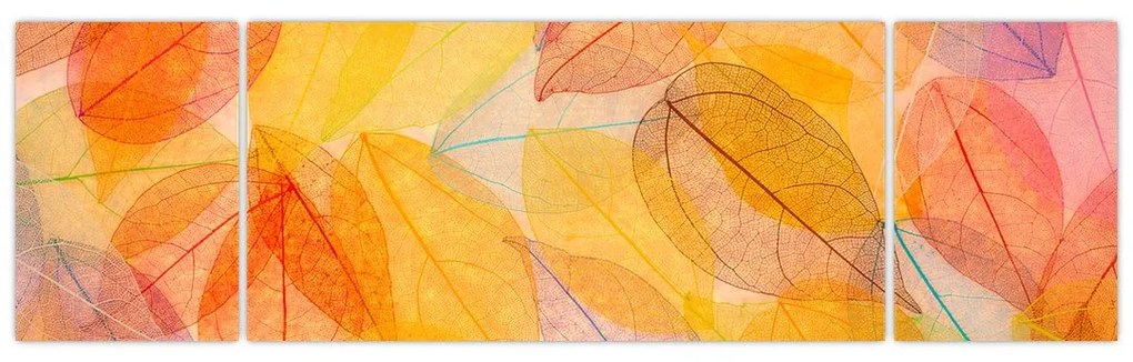 Obraz - Tło z jesiennych liści (170x50 cm)