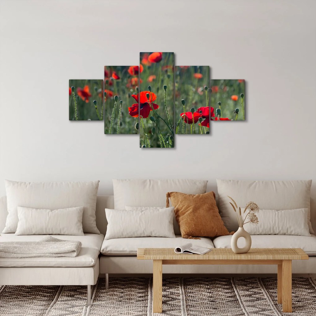 Obraz - Łąka z makami (125x70 cm)