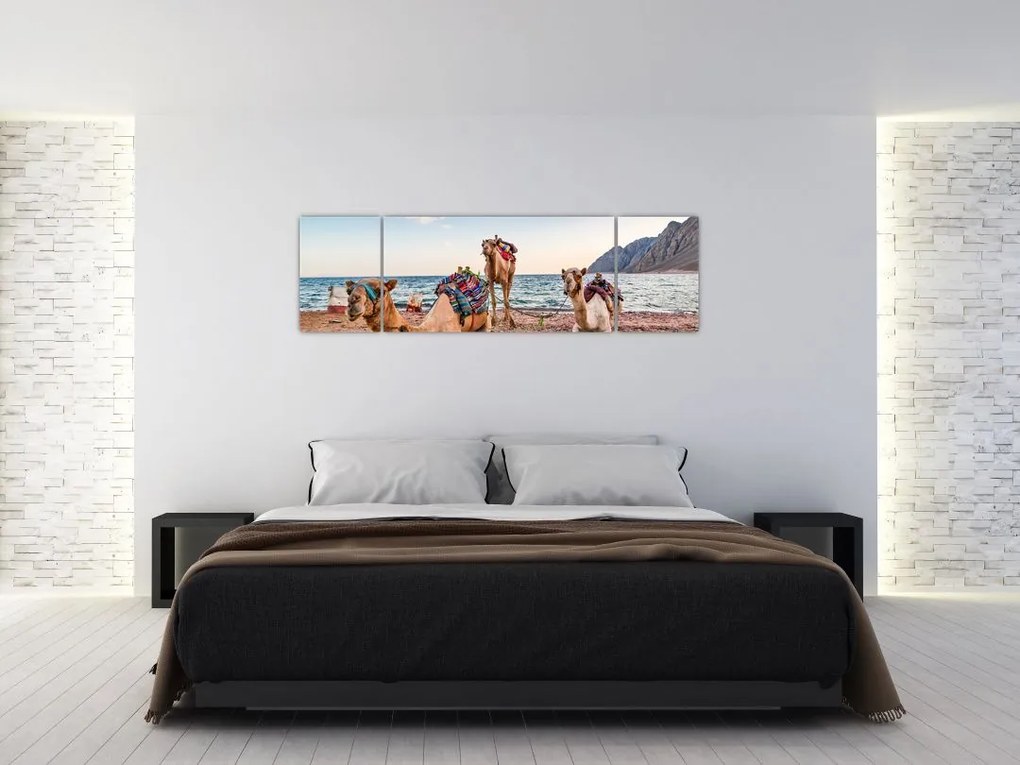 Obraz wielbłądów (170x50 cm)