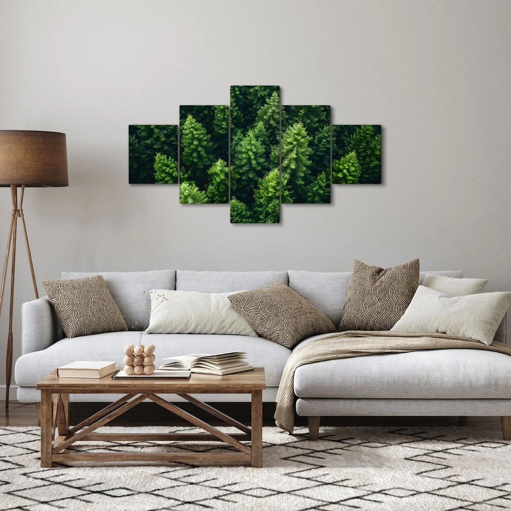 Obraz - Las (125x70 cm)