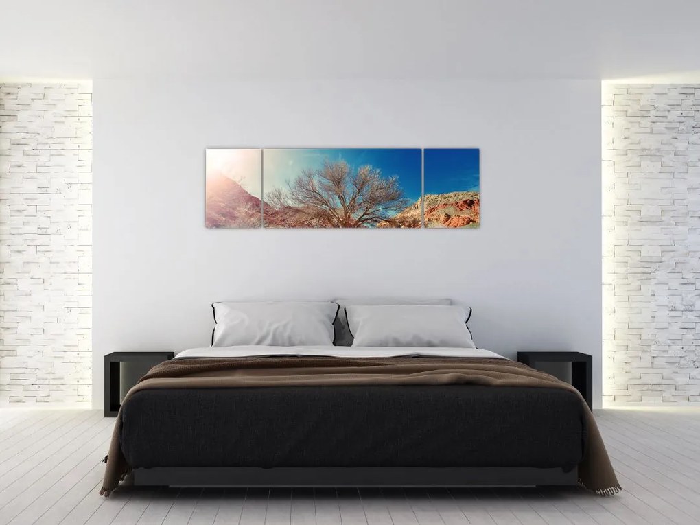 Obraz drzewa na pustyni (170x50 cm)