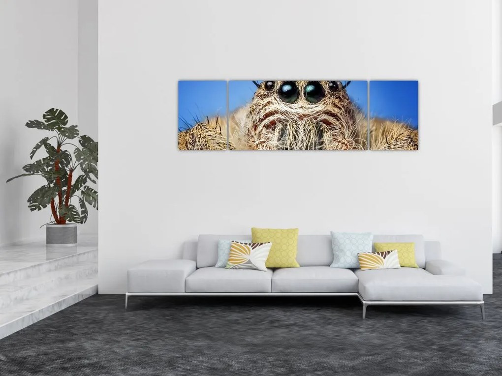 Obraz szczegółu pająka (170x50 cm)