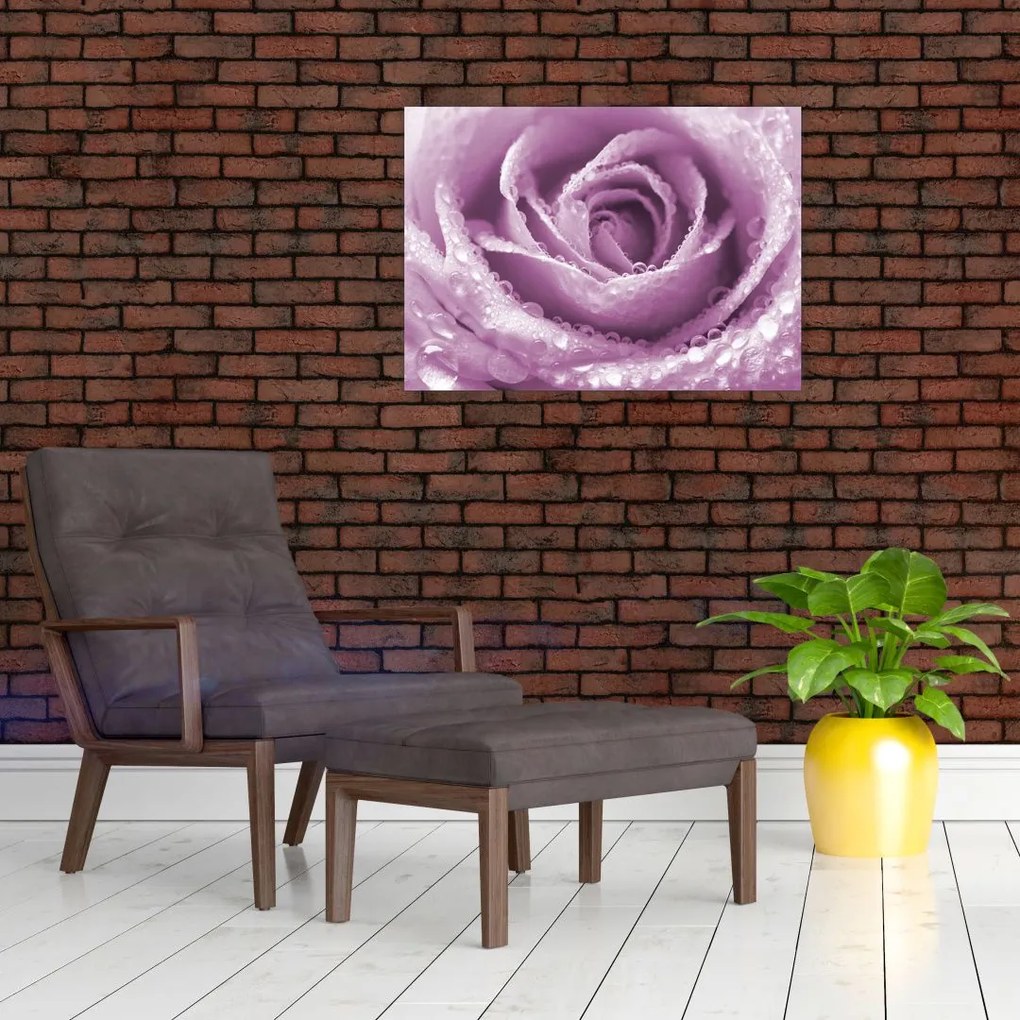 Obraz szczegółu kwiatu róży (70x50 cm)