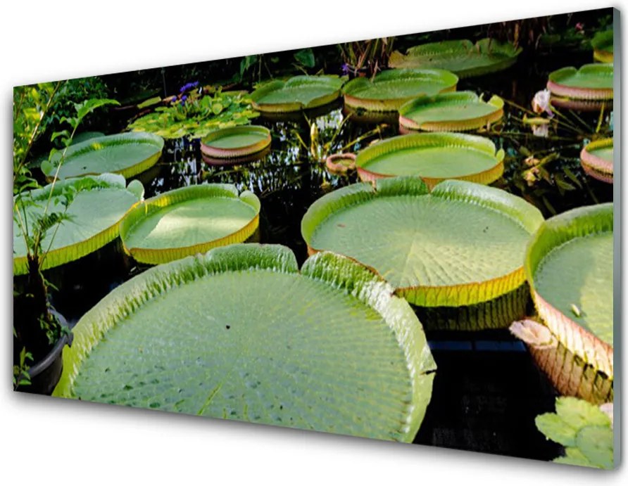 Panel Szklany Odbicie Liści w Cichej Tonii