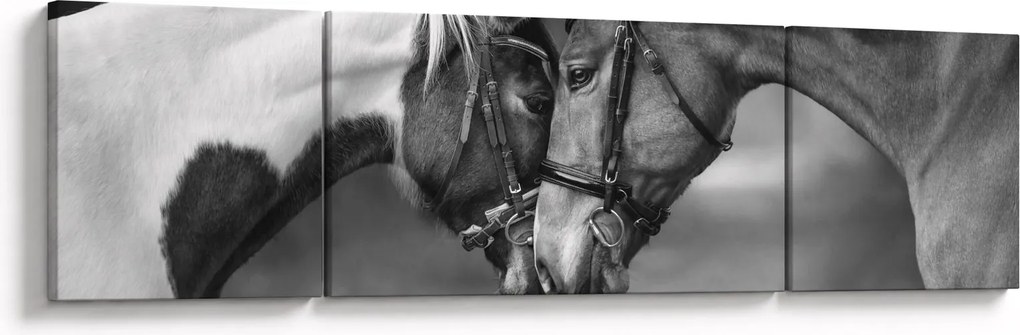 Obraz - Zakochane konie, czarno - biały (170x50 cm)