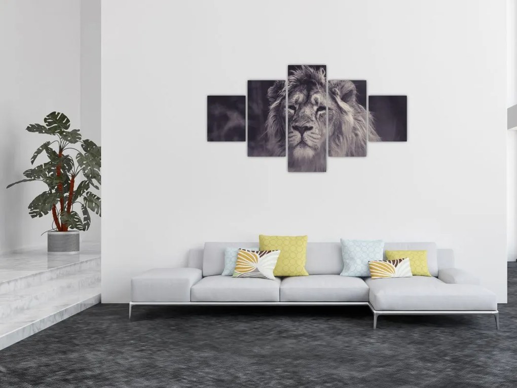 Obraz lwa (125x70 cm)