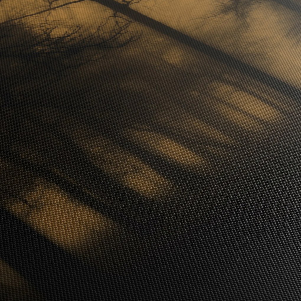 Obraz - Ciemny las (170x50 cm)