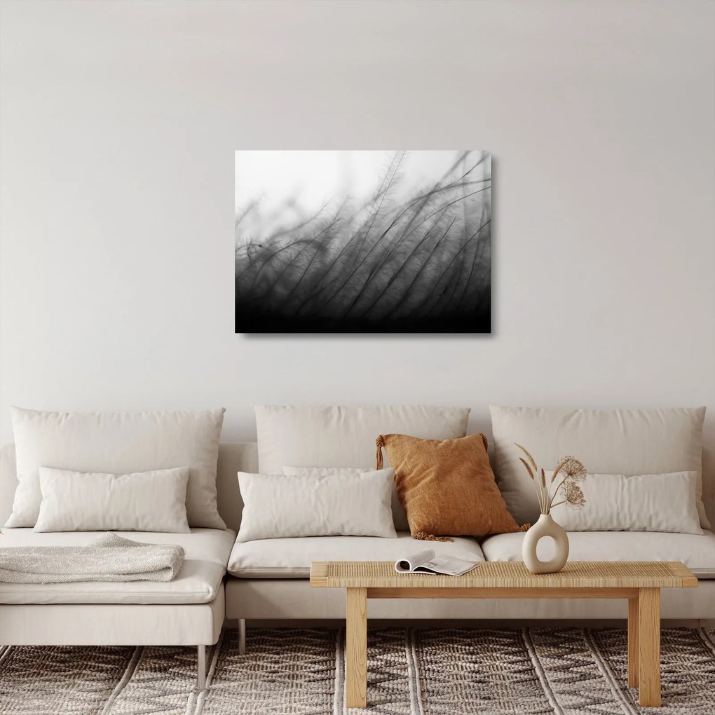 Obraz na szkle - Trawa na wietrze (70x50 cm)