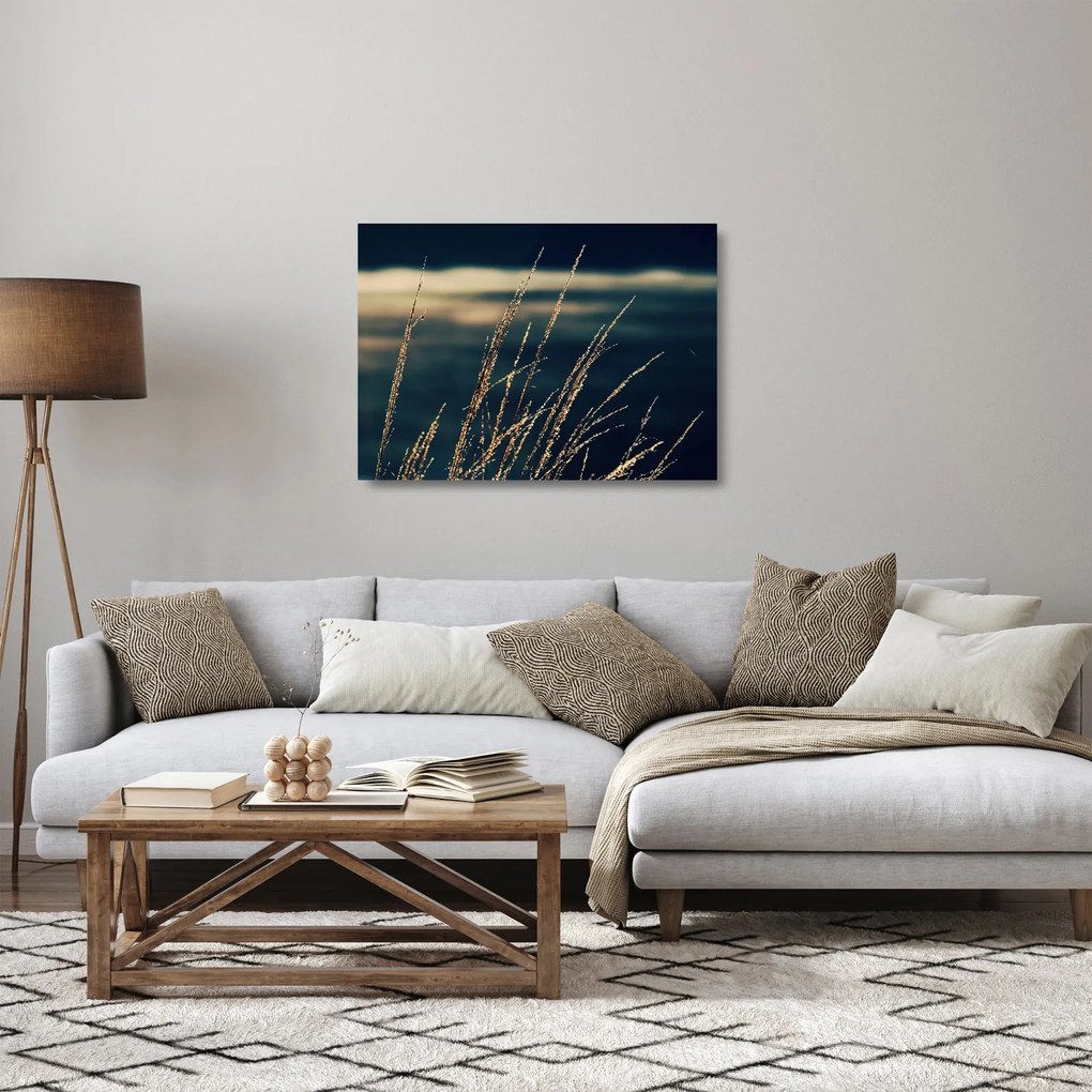 Obraz na szkle traw (70x50 cm)