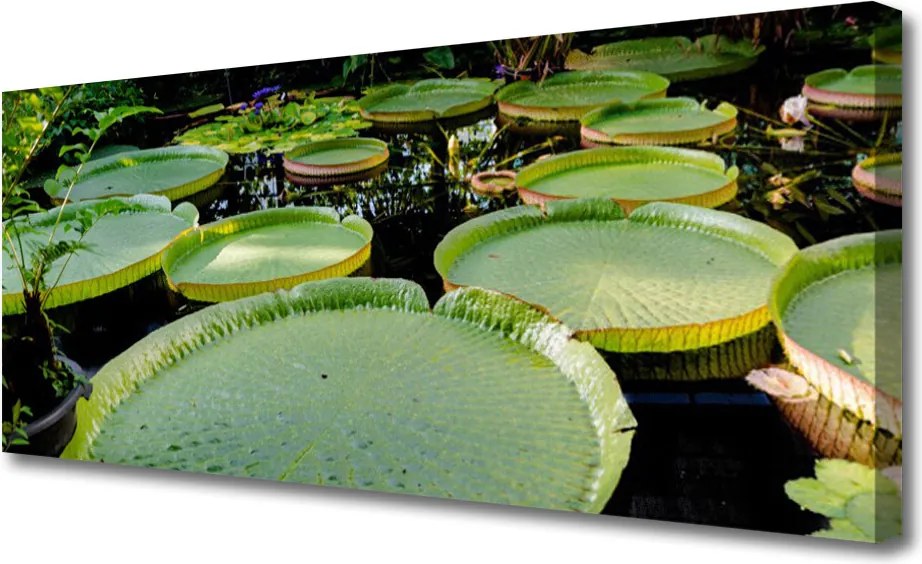 Obraz canvas Eteryczna Wizja Motyli i Piór