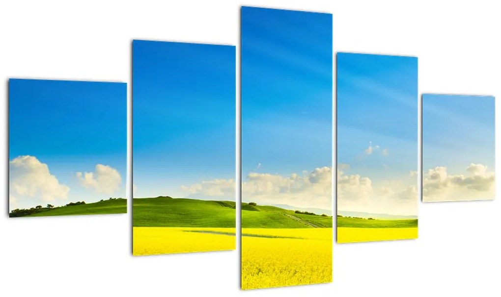 Obraz - Wiosenne niebo (125x70 cm)