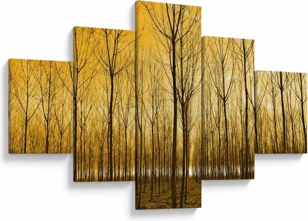 Obraz lasu o zachodzie słońca (125x70 cm)