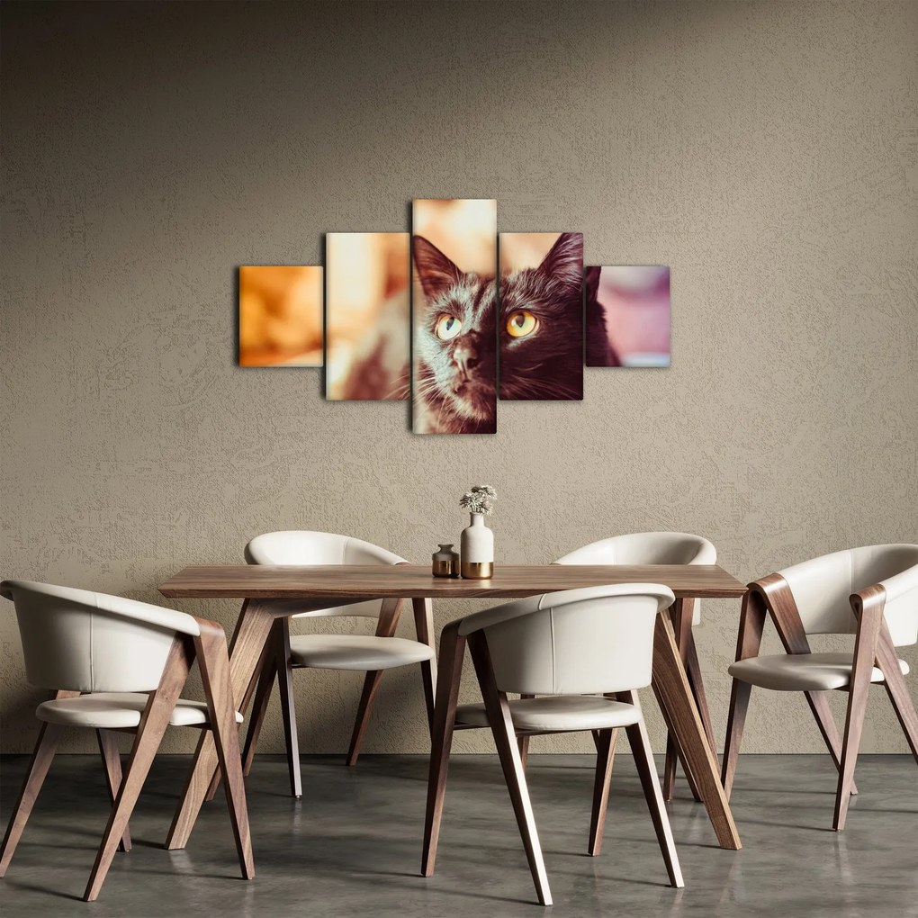 Obraz czarnego kota (125x70 cm)
