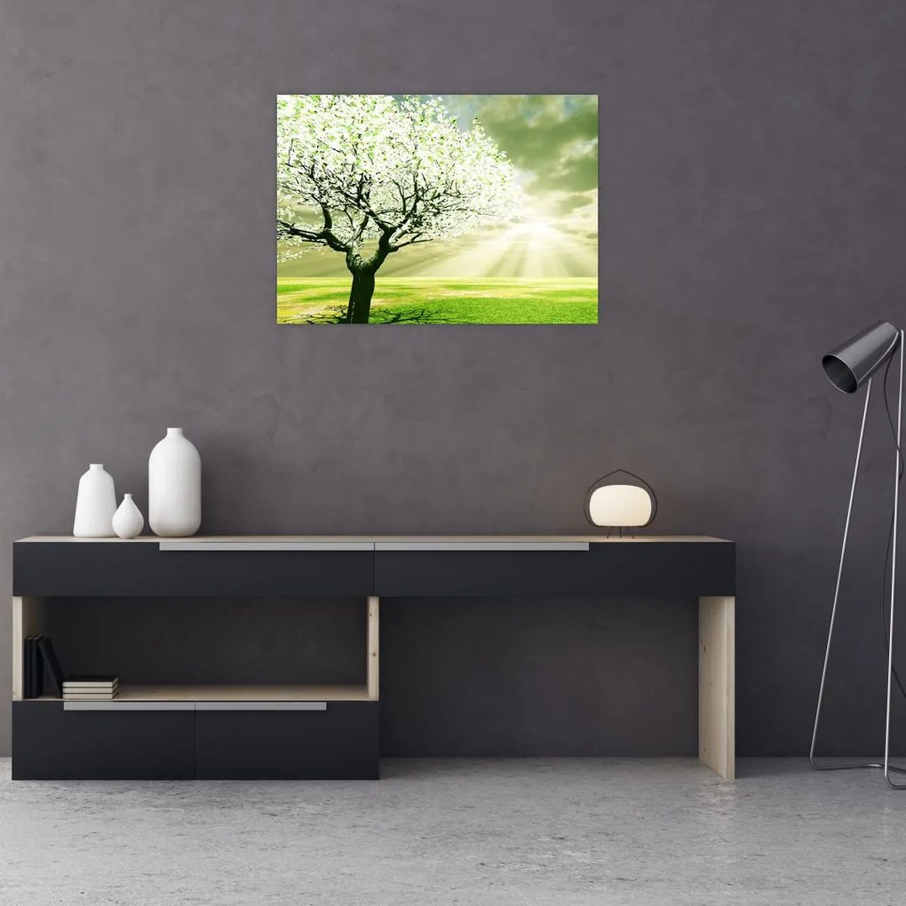 Obraz drzewa na łące (70x50 cm)