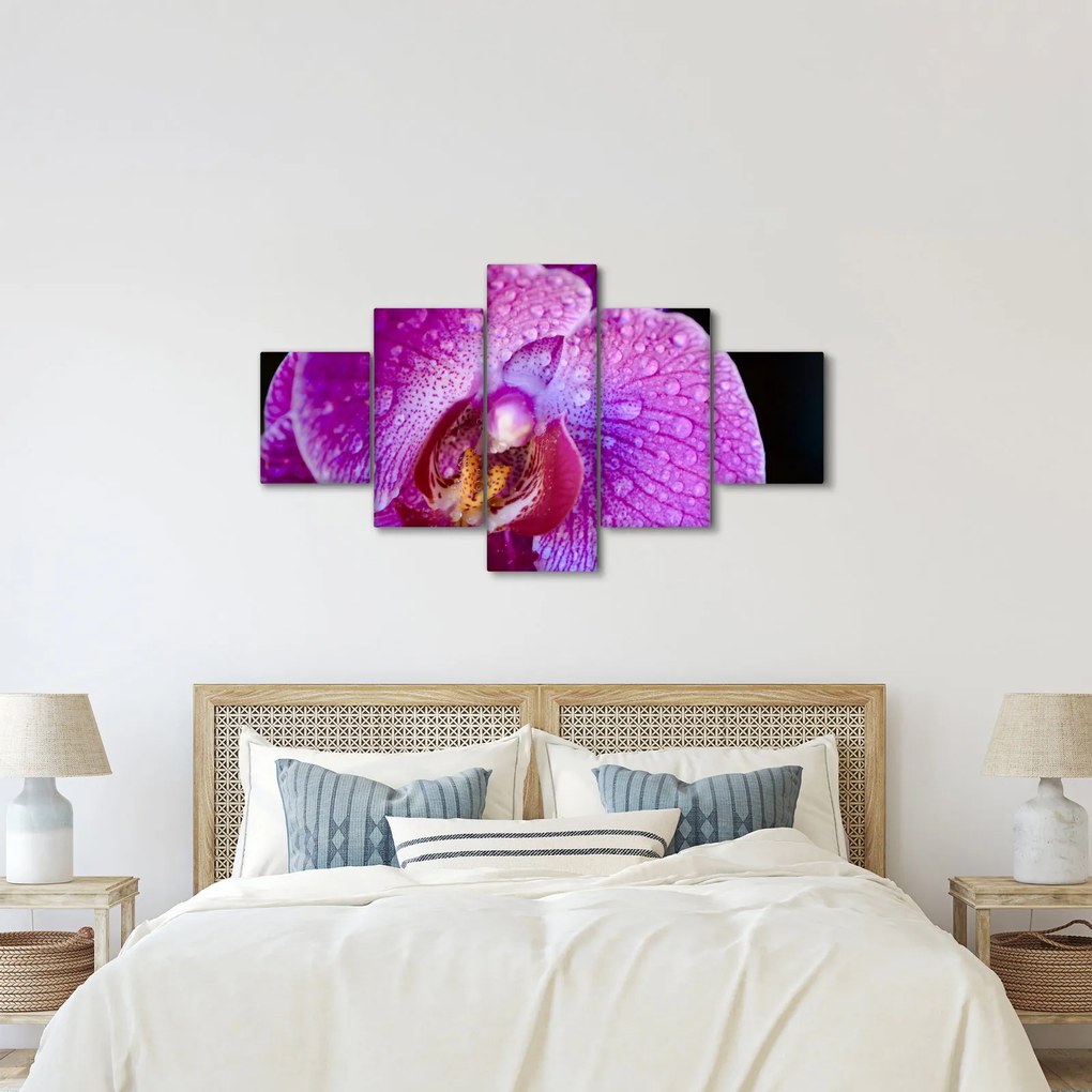 Zbliżenie kwiatu orchidei (125x70 cm)