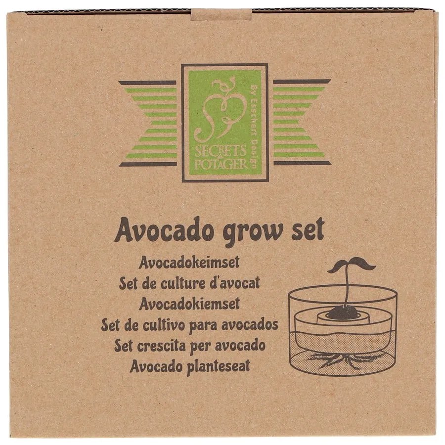 Szklana miska do kiełkowania ø 14 cm Avocado – Esschert Design