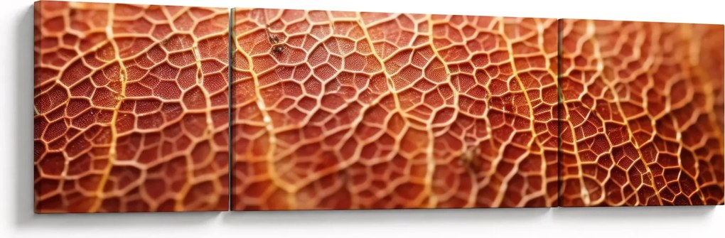 Obraz - Szczegóły tekstury (170x50 cm)