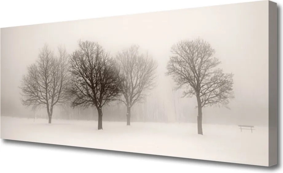 Zdjęcie na płótnie Zimowa Cisza w Lesie