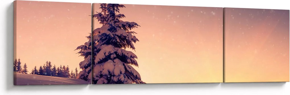 Obraz ośnieżonego drzewa na łące (170x50 cm)