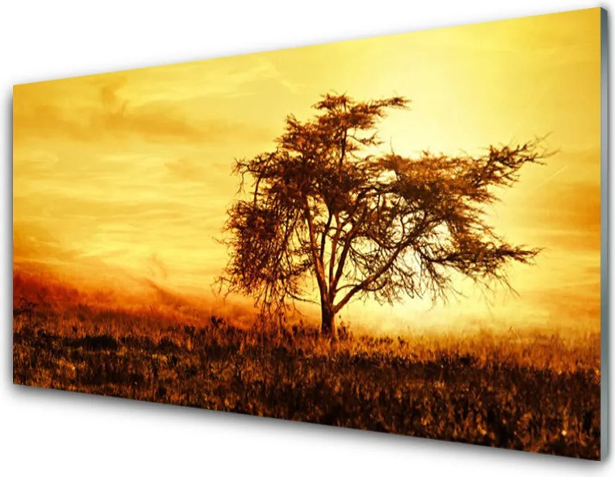 Panel Szklany do Kuchni Samotne Drzewo W Rozkwicie