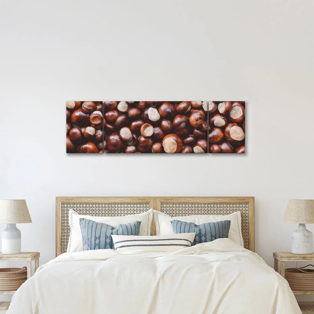 Obraz - Dojrzałe kasztany (170x50 cm)