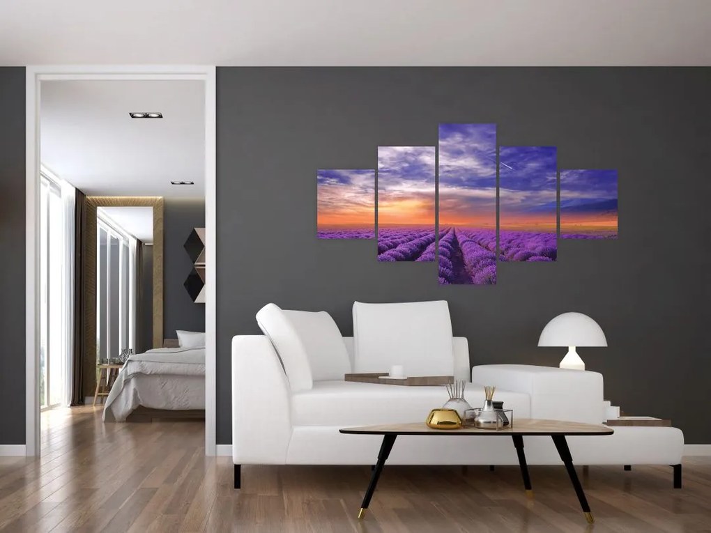 Obraz lawendowego pola (125x70 cm)