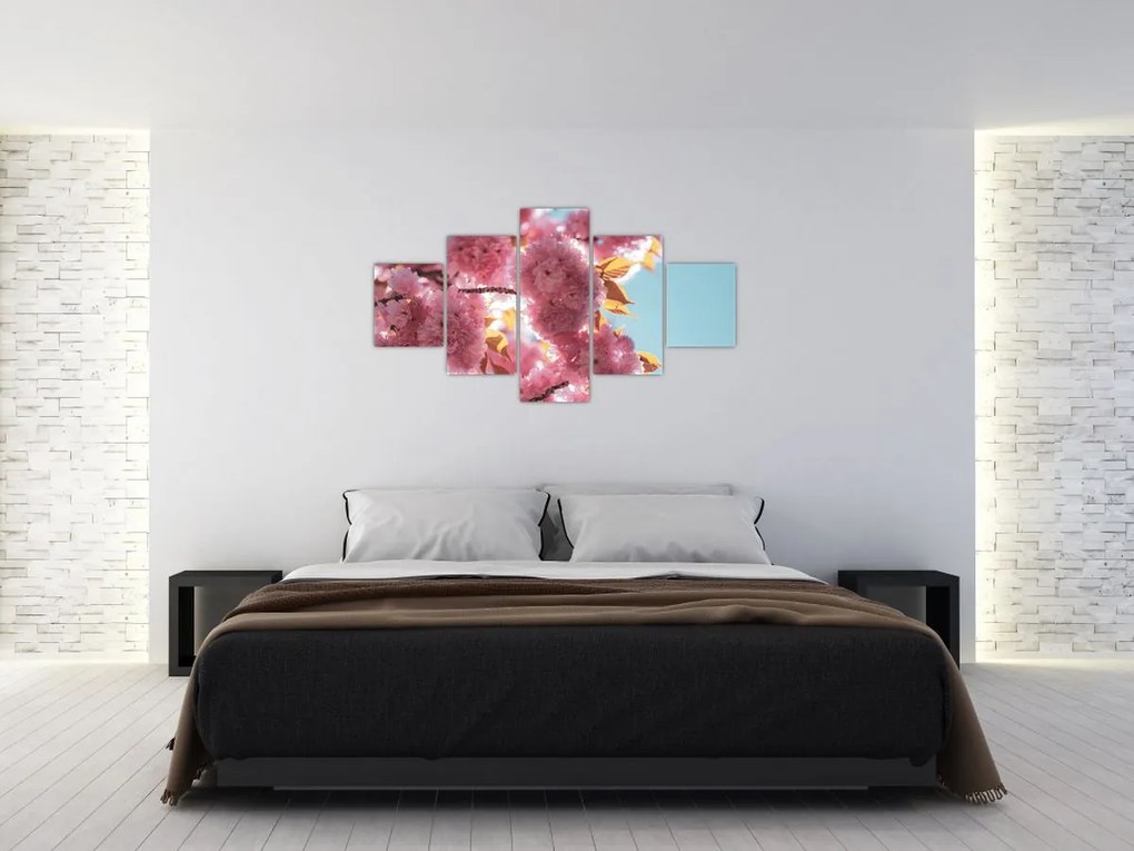Obraz - Kwiat wiśni (125x70 cm)