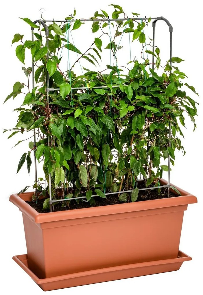 Gardenico skrzynka duża Magnus terakota, 80 cm, 80 cm