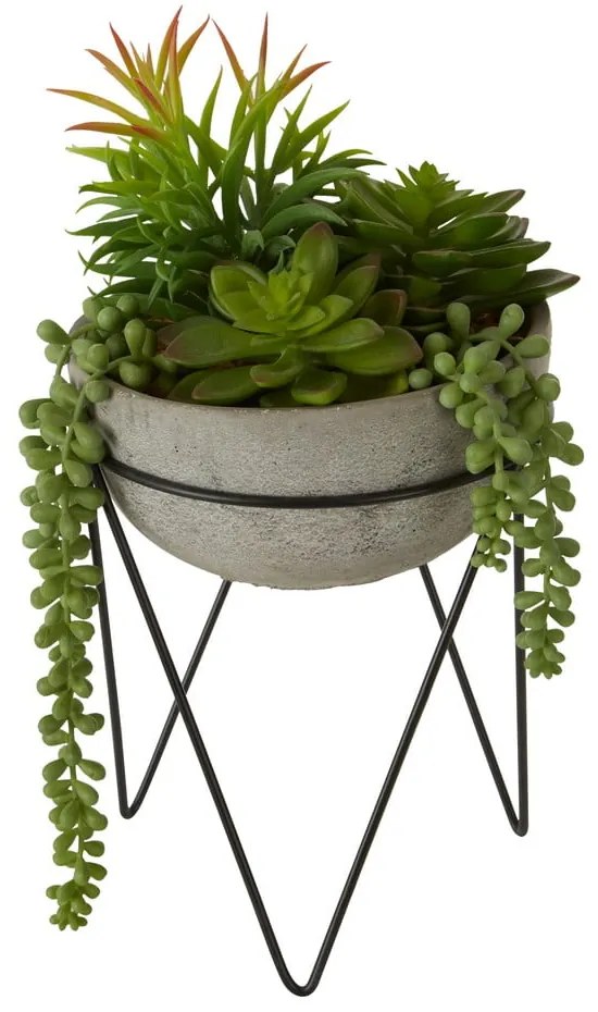 Sztuczny sukulent (wysokość 36 cm) Fiori – Premier Housewares
