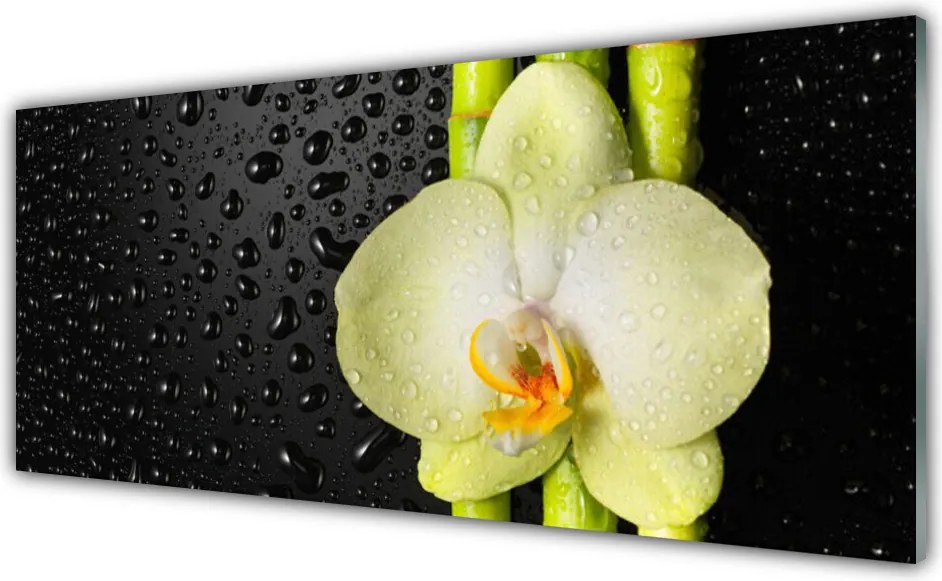 Panel Szklany Harmonijna Kompozycja Botaniczna