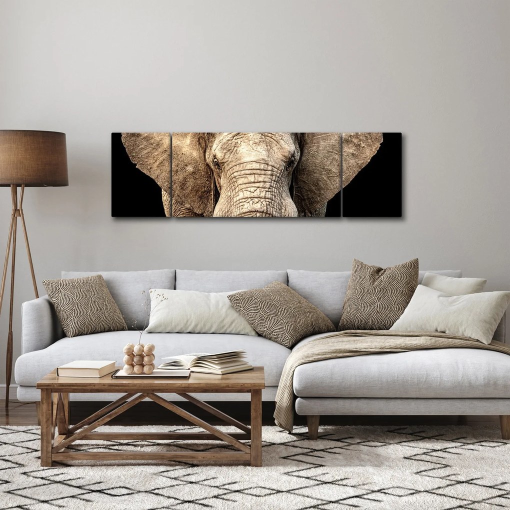Obraz - Słoń afrykański (170x50 cm)