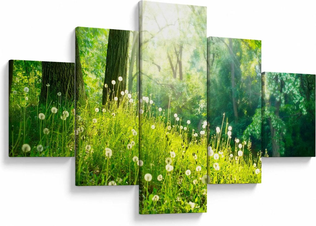 Obraz - Magiczna łąka pełna mniszków lekarskich (125x70 cm)